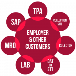 National Drug Screening - MRO - Software - Testing - Training