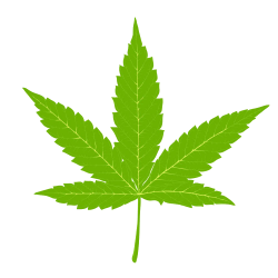 Cannabis Hemp Marijuana Clip art - Indian cannabis leaves ...