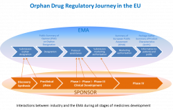regulatory – All About Drugs