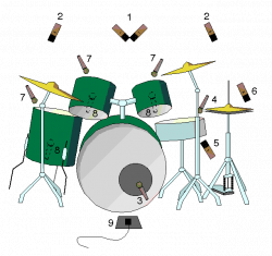 Flea 12 and Drums! Placement - Gearslutz Pro Audio Community