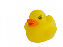 Rubber Duck Yellow Clipart Free Stock Photo - Public Domain Pictures