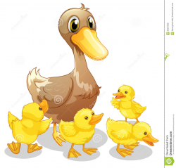 Duck and duckling clipart 8 » Clipart Station