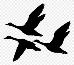 Geese Clip Art - Flying Ducks Silhouette - Png Download ...