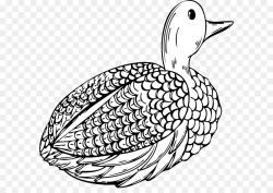 Book Black And White clipart - Duck, Bird, Wing, transparent ...
