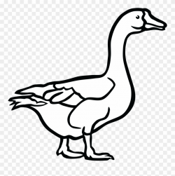 742 Free Clipart Of A Goose In Black And White Duck - Goose ...