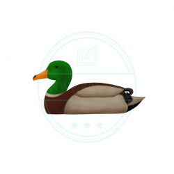 Mallard duck clipart duck hunting birthday invitation instant digital  download digital prints PNG 300 DPI