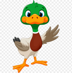 clip free library clipart goose - cute mallard duck clipart ...
