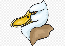 Download cabeza de pato png clipart Clip art | Bird,Duck ...