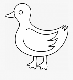 Outline Of A - Black And White Clipart Duck Transparent ...