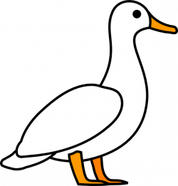 American Pekin Duck Mallard Clip art - Duck Outline png ...