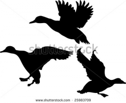 Free Duck Silhouette Cliparts, Download Free Clip Art, Free ...