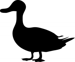 Flying Duck Silhouette | Free download best Flying Duck ...