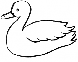 Duck outline | Printables | Basic drawing for kids, Duck ...