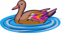 HD Ducks Clipart Swimming - Water Bird Clip Art , Free ...