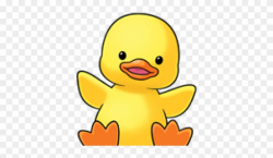 Download Free png Duckling Clipart Baby Duck Cute Duck ...