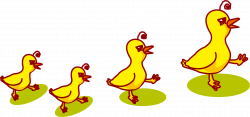 Duck Chicken Rooster - Creative ducklings 1902*894 transprent Png ...
