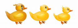 Duckling Clipart Duck Bill - Patinhos Desenho Png Free PNG ...