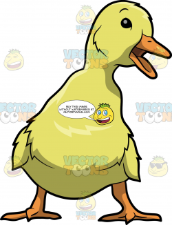 A Quacking Duckling