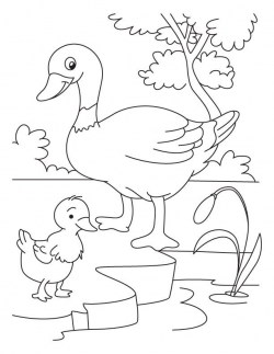 Duck and Duckling coloring page #duckling | quilt | Coloring ...