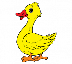 Duck Cartoon Group (88+)