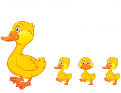 ducks in a row | Tats the life for me | Duck cartoon ...