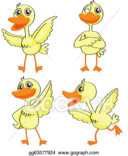 Vector Illustration - Four ducklings. EPS Clipart gg63577924 ...