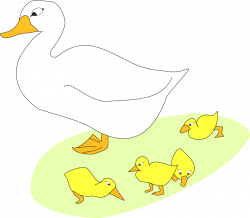 Free Images Of Ducklings, Download Free Clip Art, Free Clip Art on ...