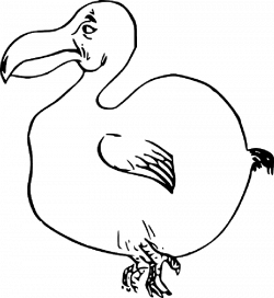 Duck Outline Drawing at GetDrawings.com | Free for personal use Duck ...