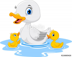Mother duck swims with her two little cute ducklings 