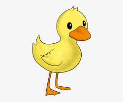 Duck - Duckling Clipart PNG Image | Transparent PNG Free ...
