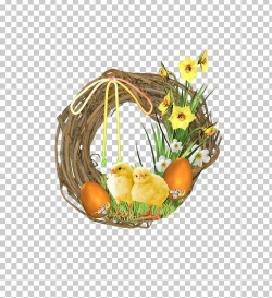Duck Bird Icon PNG, Clipart, Animals, Basket, Bird Egg ...