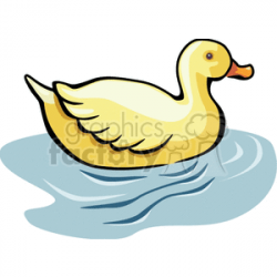 Yellow duck floating in water clipart. Royalty-free clipart # 130635
