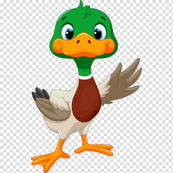 Duckling raising it's left wing illustration, Duck Goose ...