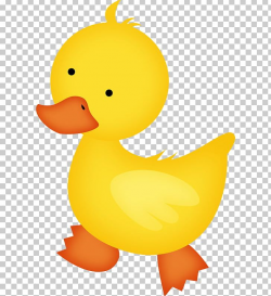 Baby Ducks Baby Duckling PNG, Clipart, Animal, Animals, Baby ...