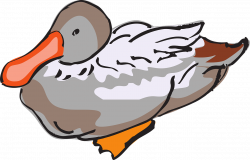 Domestic duck Bird Goose Clip art - duck 1280*822 transprent Png ...