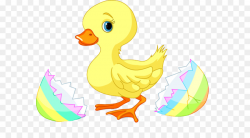 Baby Duck clipart - Duck, Bird, Yellow, transparent clip art