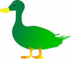 Free Duck Graphics, Download Free Clip Art, Free Clip Art on ...