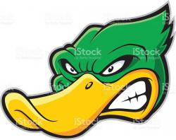 Clipart picture of a duck head cartoon mascot character ...