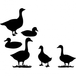Free Duck Vector, Download Free Clip Art, Free Clip Art on ...