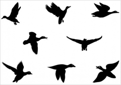 Flying Duck Silhouette Vector Graphics - ClipArt Best ...
