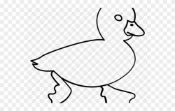 Drawn Duck Water Outline - Pato Para Colorear Clipart ...