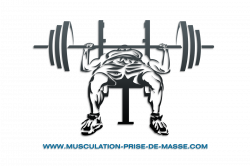 Bench press Barbell CrossFit Clip art - bodybuilder 1350*900 ...