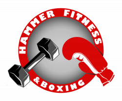 Semi-Private Personal Training Sessions — Hammer Fitness & Boxing
