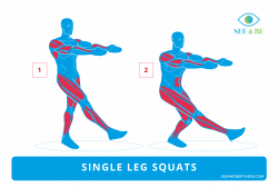 Single Leg Squats, See & Be Fitness Static Cling Decal. Muscle ...