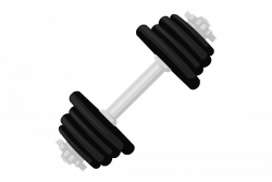 28+ Collection of Dumbbell Clipart Transparent | High quality, free ...