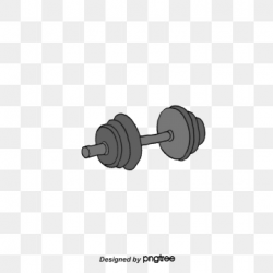 Dumbbell Vector Png, Vector, PSD, and Clipart With ...