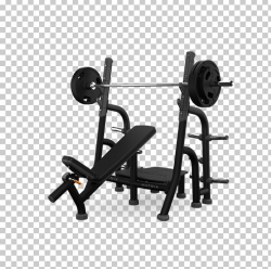Bench Press Barbell Power Rack Dumbbell PNG, Clipart, Angle ...