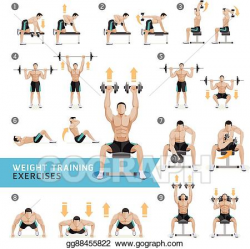 Vector Art - Dumbbell exercises and workouts wei. Clipart ...