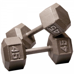 Body-Solid Free Weights