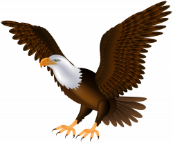 Eagle PNG Clip Art - Best WEB Clipart